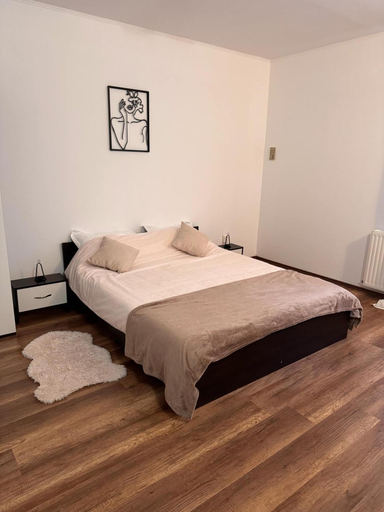 Apartmán Madalina'S House Brašov Exteriér fotografie